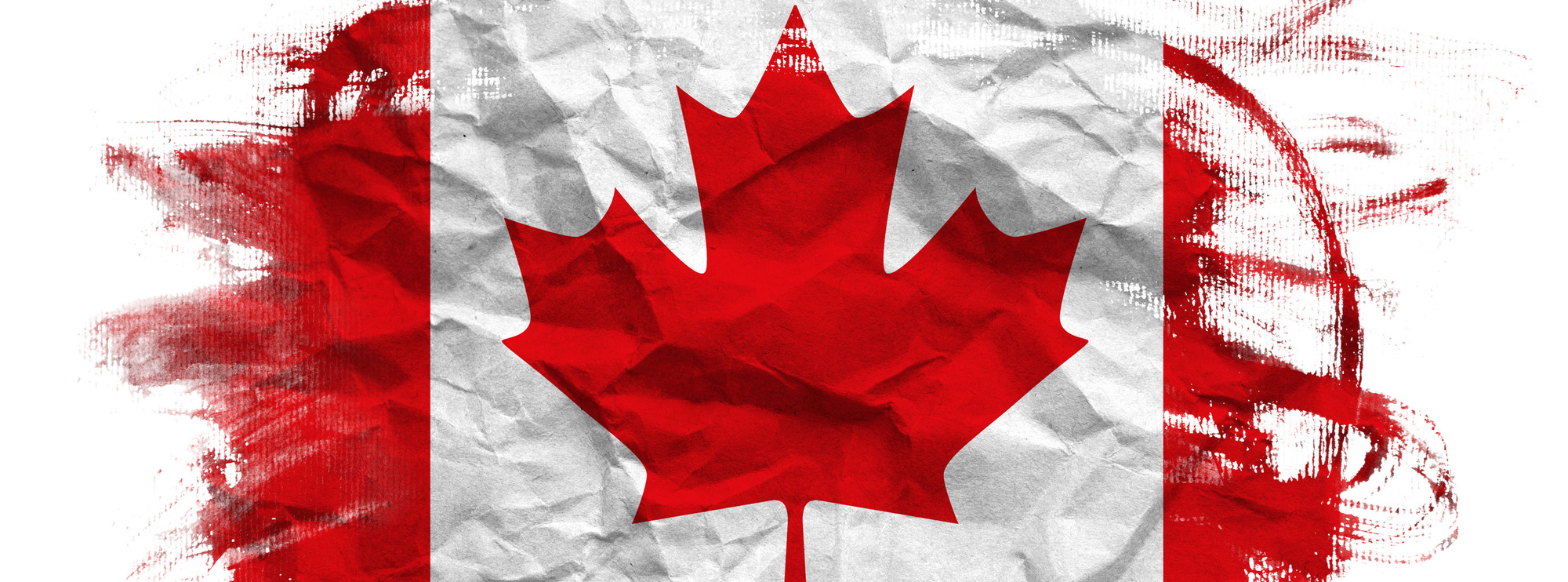 canadian flag on the white background